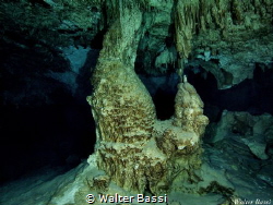 Dos ojo cenote(Bat Cave) by Walter Bassi 